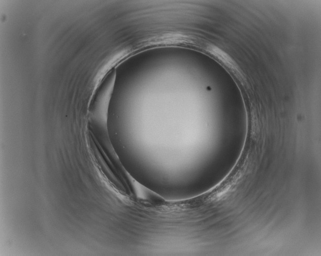 X0000069830850200605221205