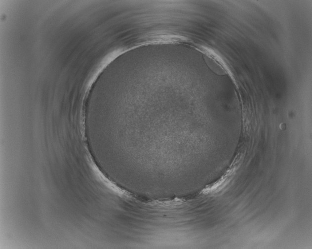 X0000069830851200605221205