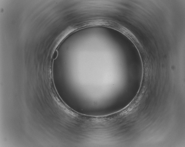 X0000069830852200605221205