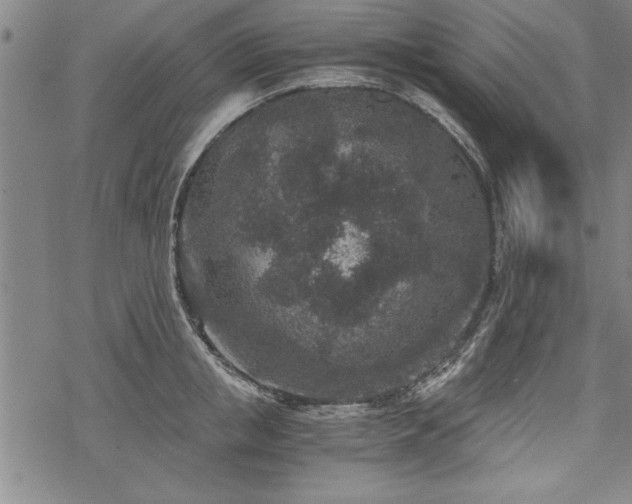 X0000069830853200605221205