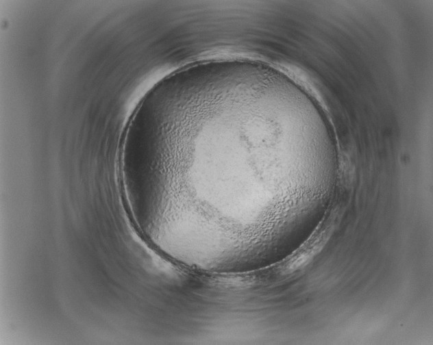 X0000069830855200605221205