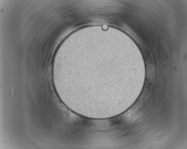 X0000069830856200605221205