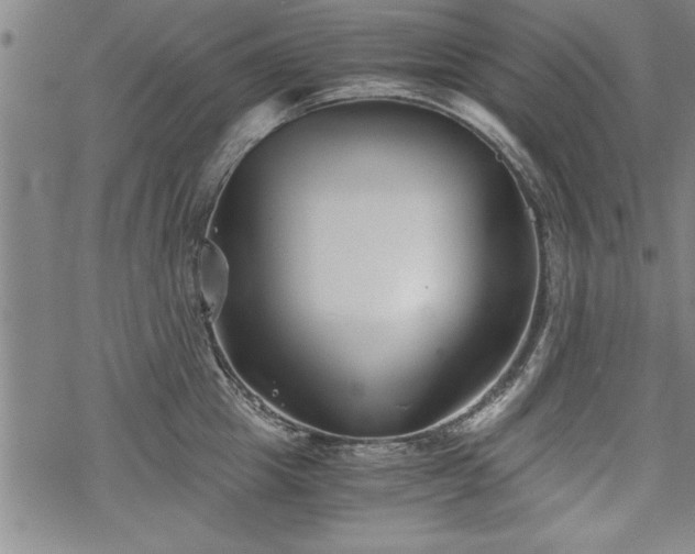 X0000069830857200605221205