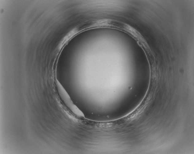 X0000069830858200605221205