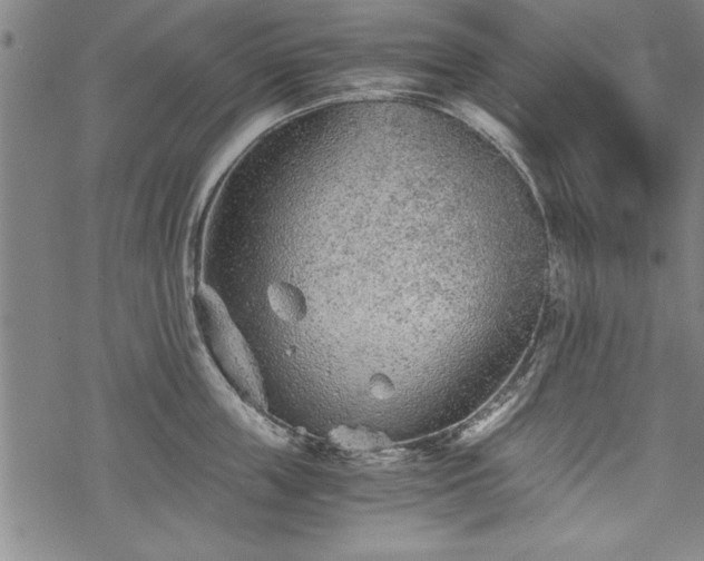 X0000069830859200605221205