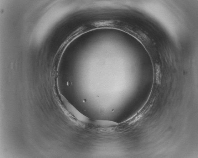 X0000069830861200605221205