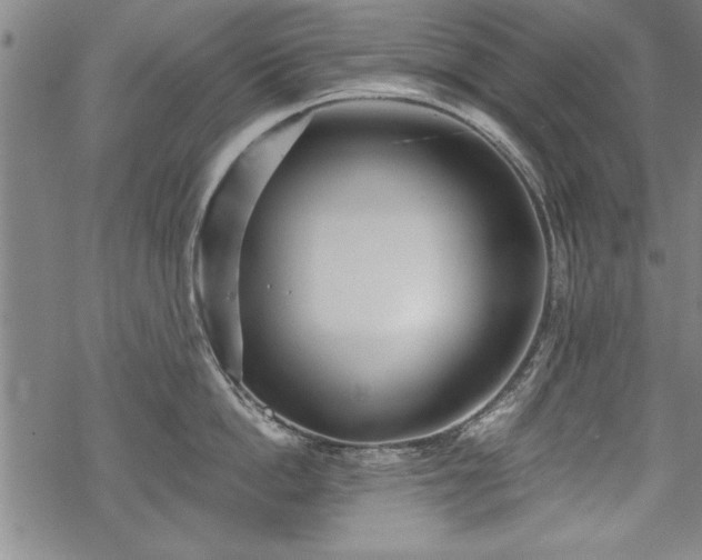 X0000069830862200605221205