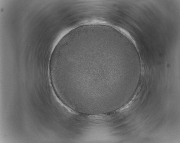 X0000069830863200605221205