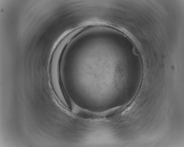 X0000069830864200605221205