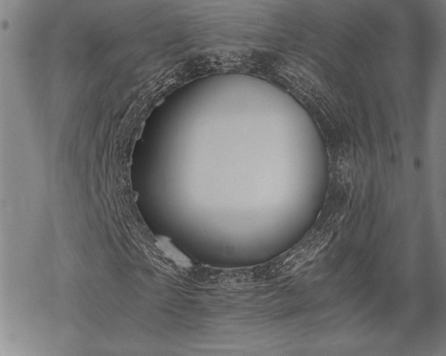 X0000069830865200605221204