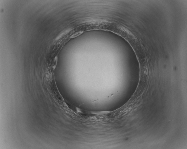 X0000069830869200605221204