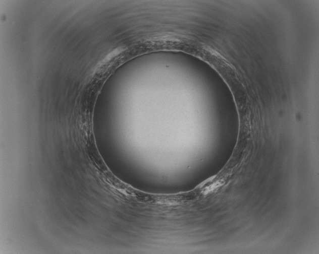 X0000069830870200605221204