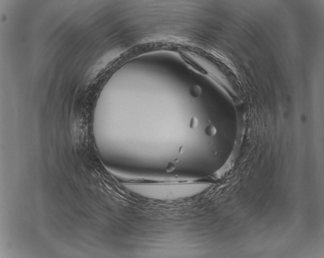 X0000069830872200605221204