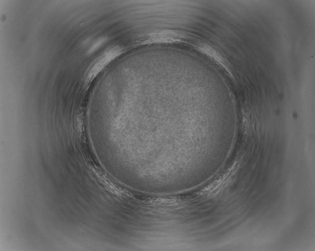 X0000069830874200605221204