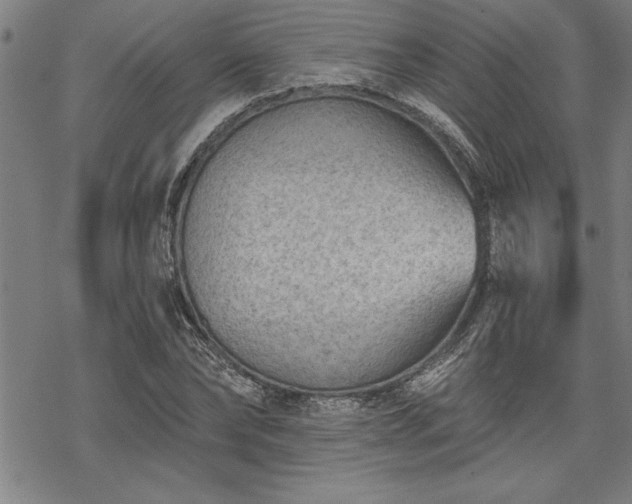 X0000069830878200605221204