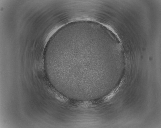 X0000069830879200605221204