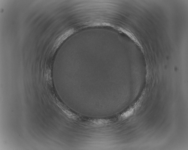 X0000069830881200605221204