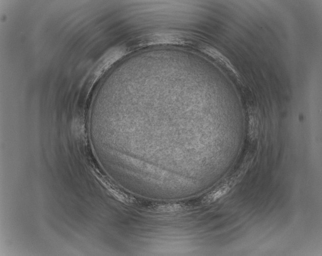 X0000069830882200605221204