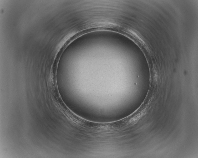 X0000069830883200605221204