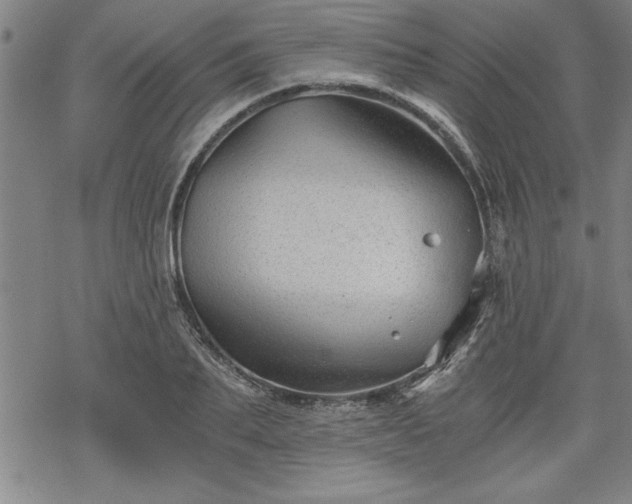 X0000069830887200605221204