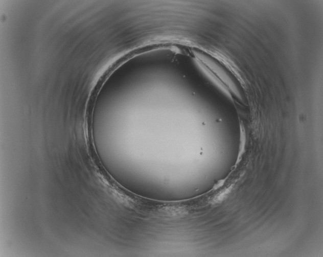 X0000069830888200605221204