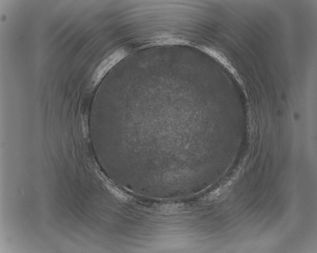 X0000069830889200605221204