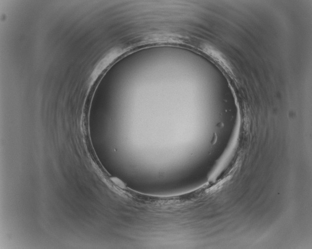 X0000069830893200605221204