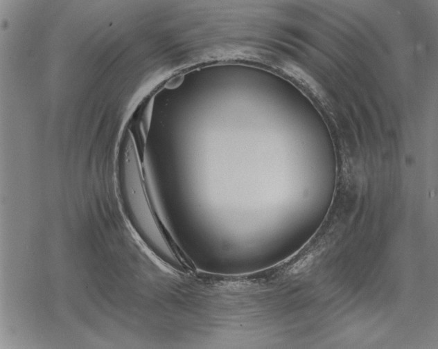 X0000069830894200605221204