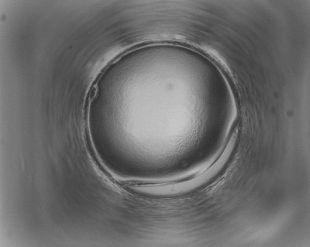 X0000069830895200605221204