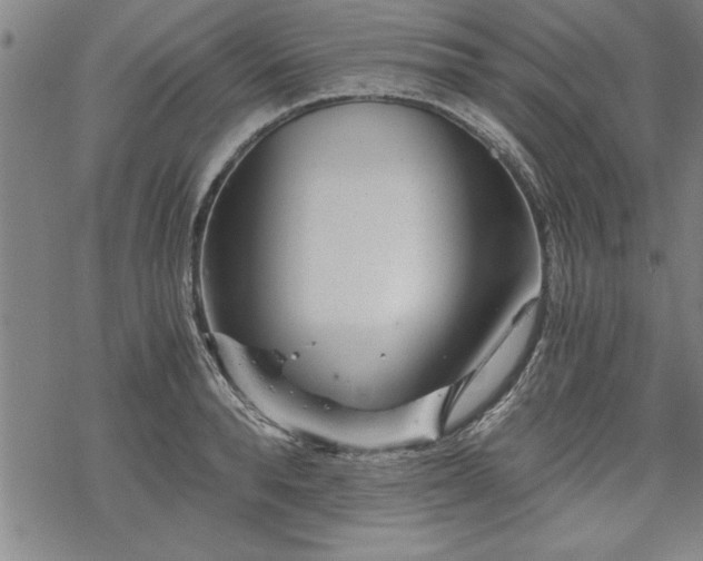 X0000069830896200605221204