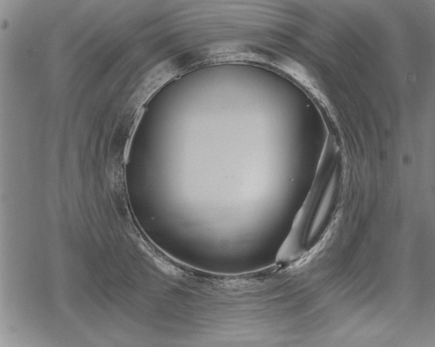 X0000069830897200605221204