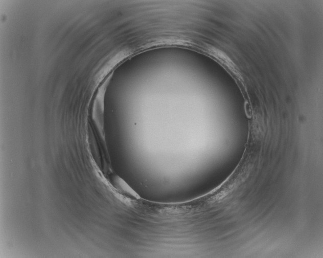 X0000069830898200605221204