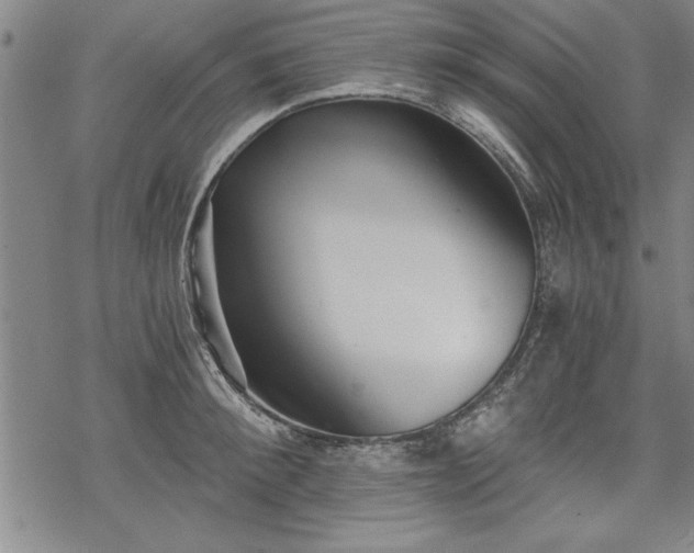 X0000069830900200605221204