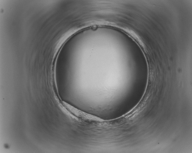 X0000069830903200605221204