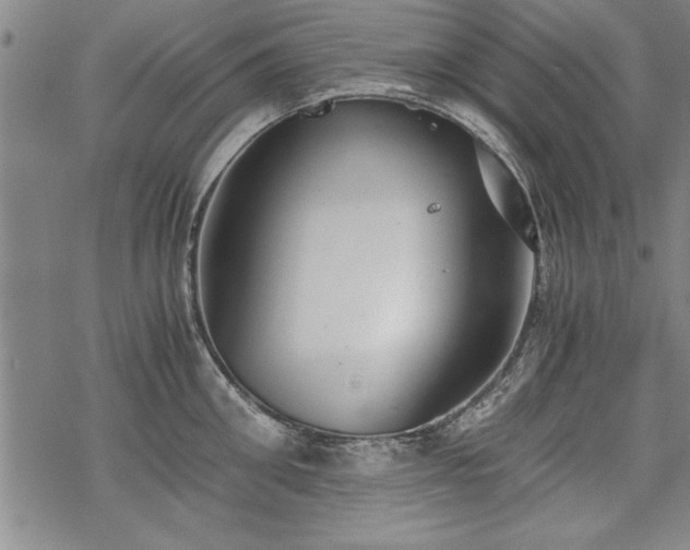 X0000069830906200605221204