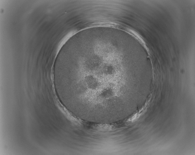 X0000069830907200605221204