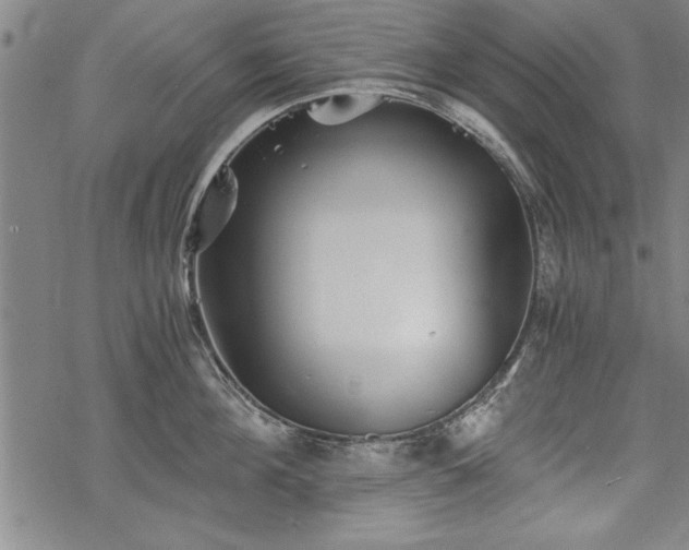 X0000069830908200605221204