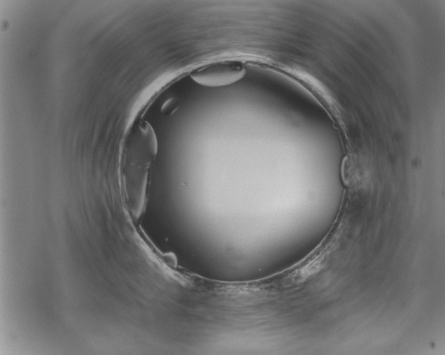 X0000069830910200605221204