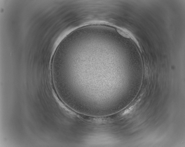 X0000069830911200605221204