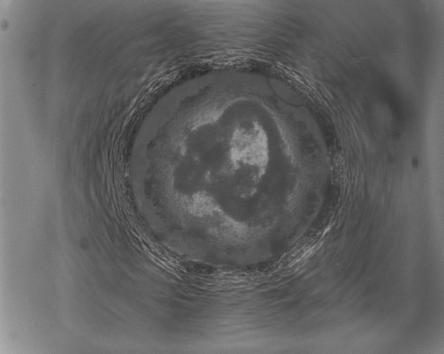 X0000069830913200605221203