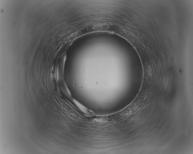 X0000069830914200605221203