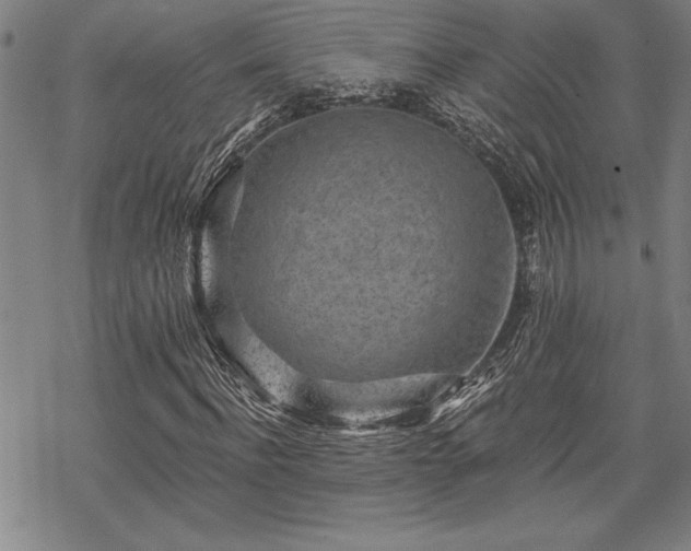 X0000069830916200605221203