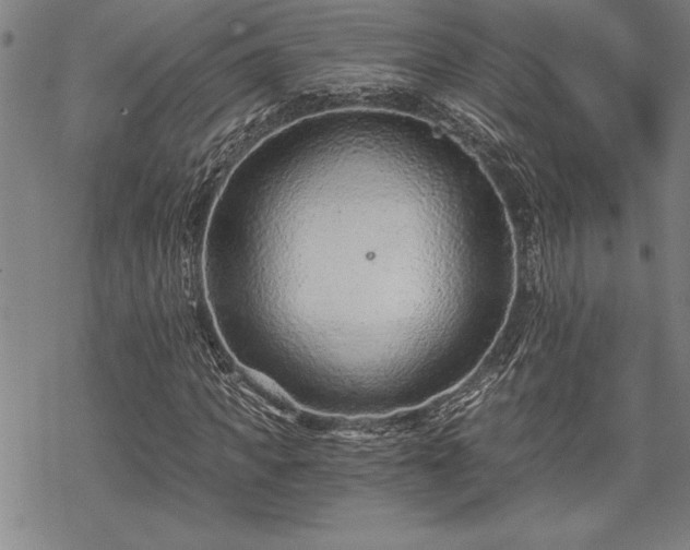 X0000069830917200605221203