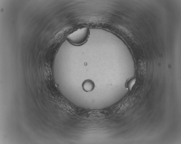 X0000069830918200605221203