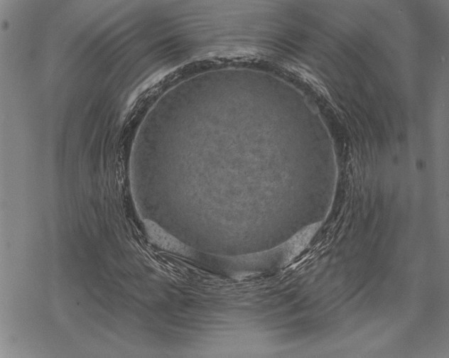 X0000069830920200605221203