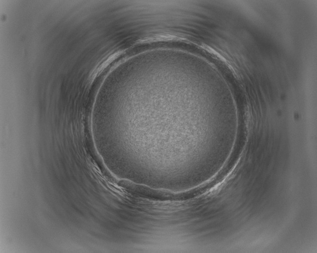 X0000069830921200605221203