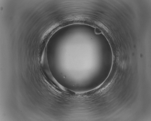 X0000069830922200605221203