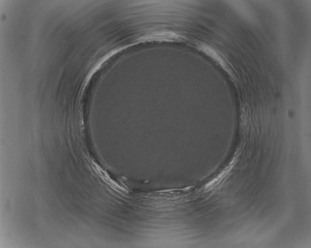 X0000069830923200605221203