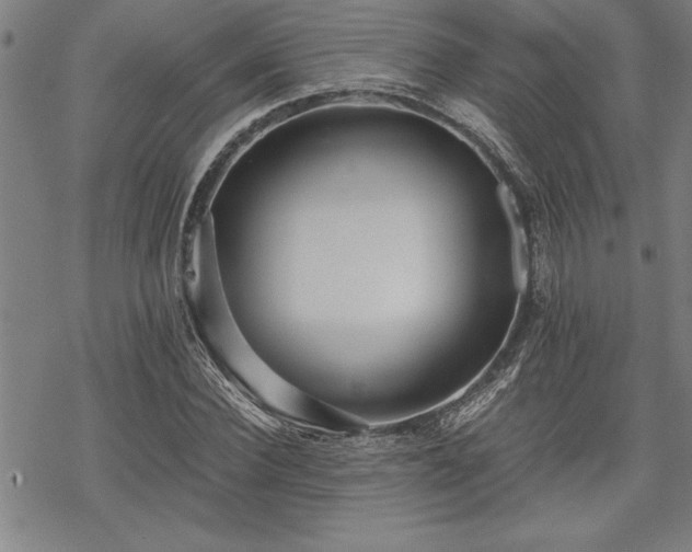 X0000069830924200605221203