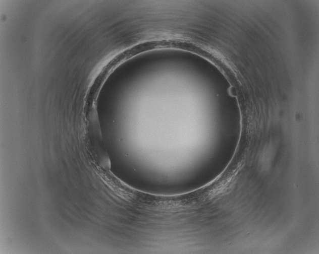 X0000069830927200605221203